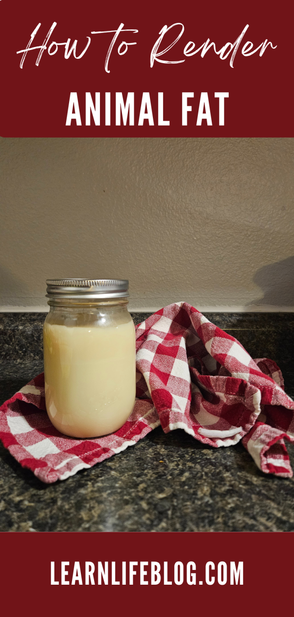 How to Render Beef Fat and Tips for Cooking with Tallow - The Learning Life