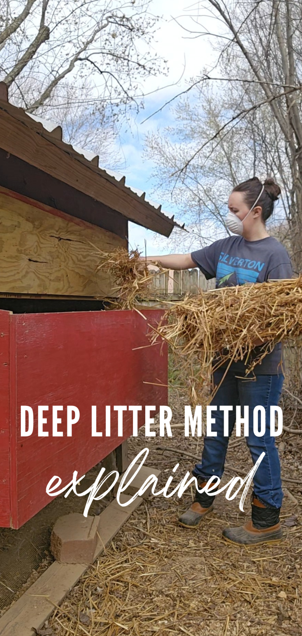 Deep Litter Method for Chicken Coops Explained - The Learning Life